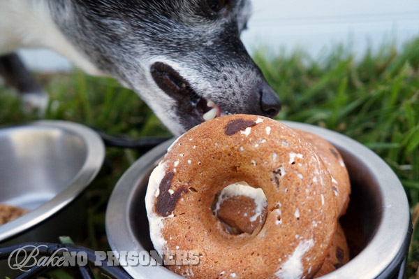 Doggie Doughnuts